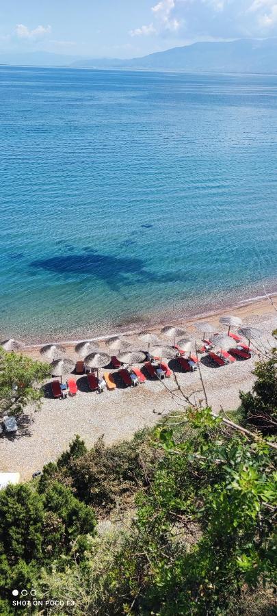 Koralli Beach Niforeika Exterior photo