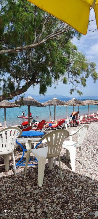 Koralli Beach Niforeika Exterior photo